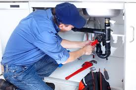 Best Pipe Inspections and Diagnostics  in Wilson, NC